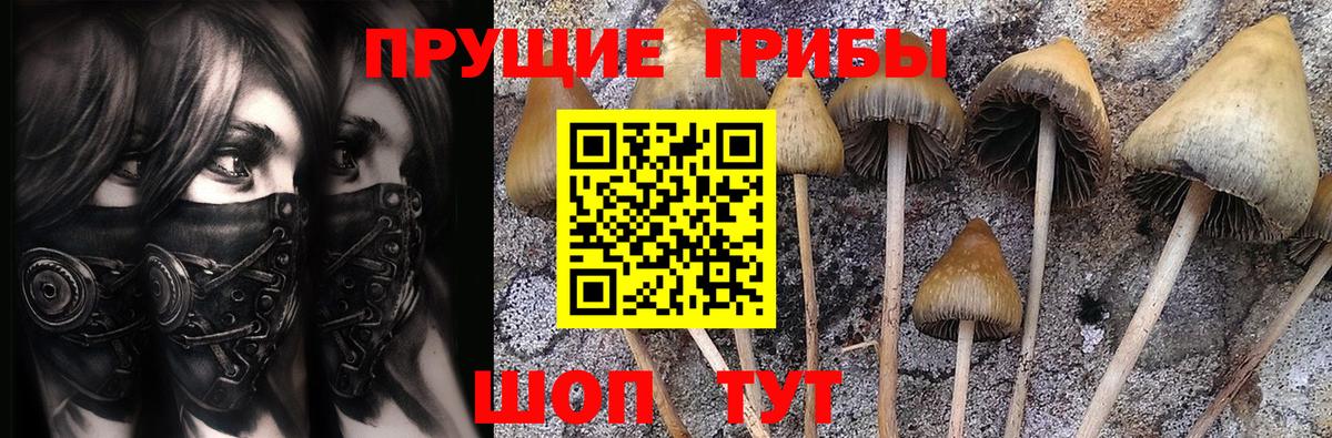 Галлюциногенные грибы Psilocybe  Галлюциногенные грибы GOLDEN TEACHER  Лосино-Петровский  Вход с VPN 