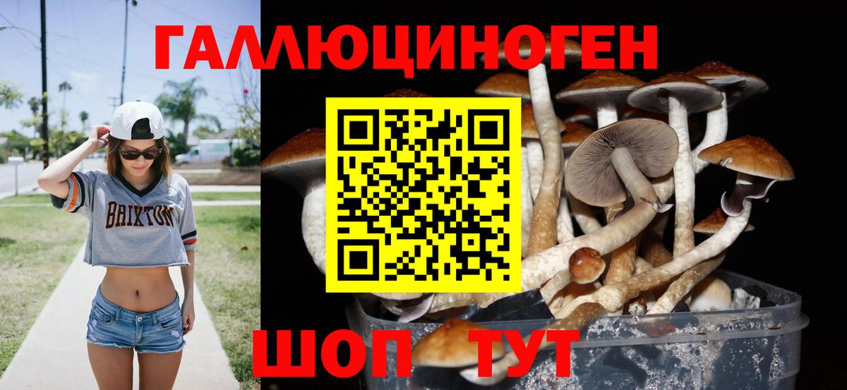 Псилоцибиновые грибы мицелий Лосино-Петровский