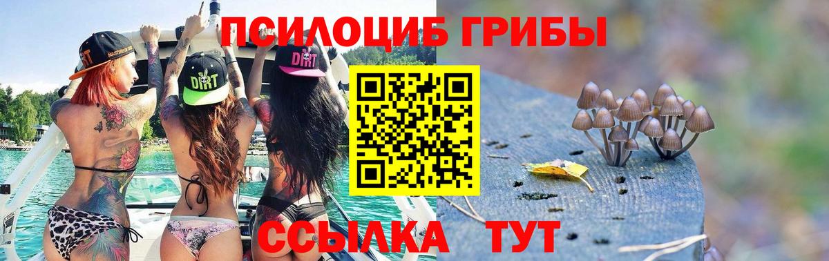 Псилоцибиновые грибы MAGIC MUSHROOMS Лосино-Петровский